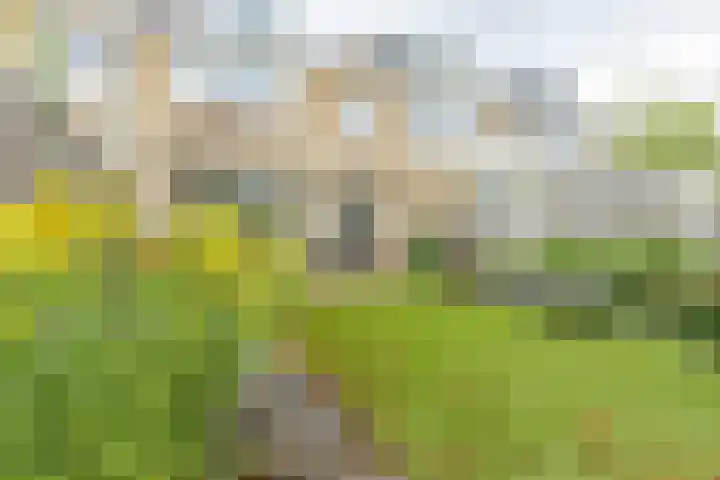 Begoniastraat 34 Oud-Beijerland thumbnail 19