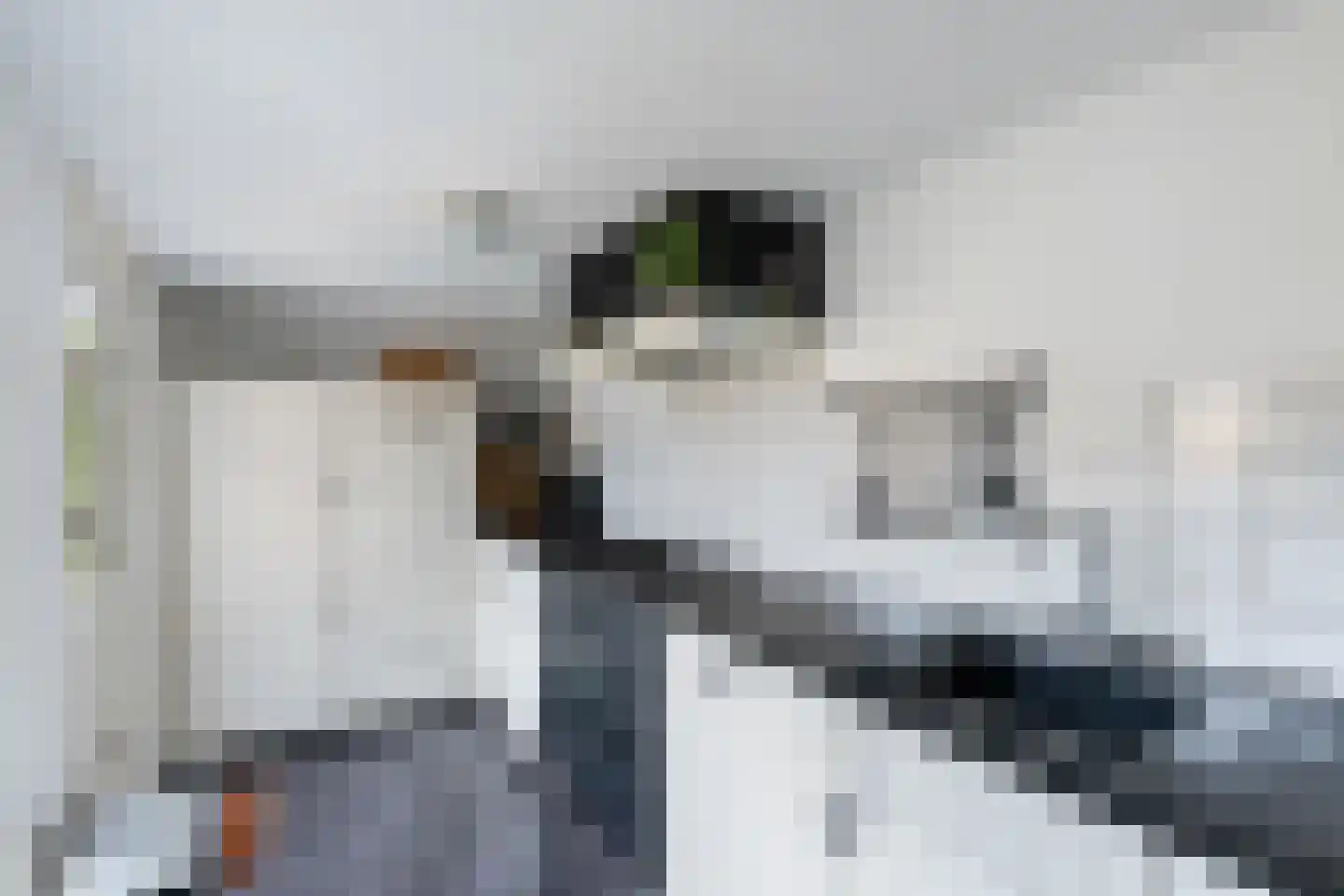 Begoniastraat 34 Zwolle thumbnail 14