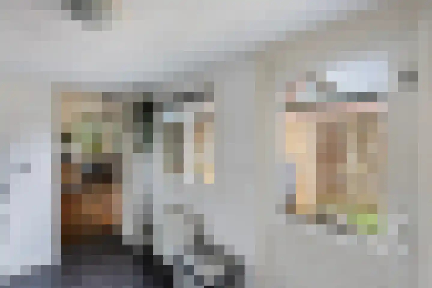 Begoniastraat 34 Zwolle thumbnail 16