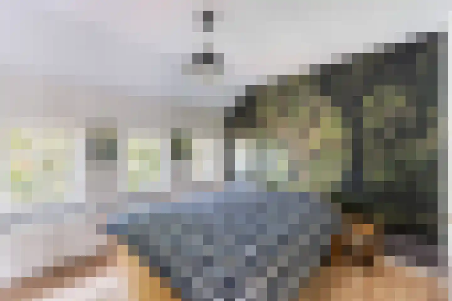 Begoniastraat 34 Zwolle thumbnail 20