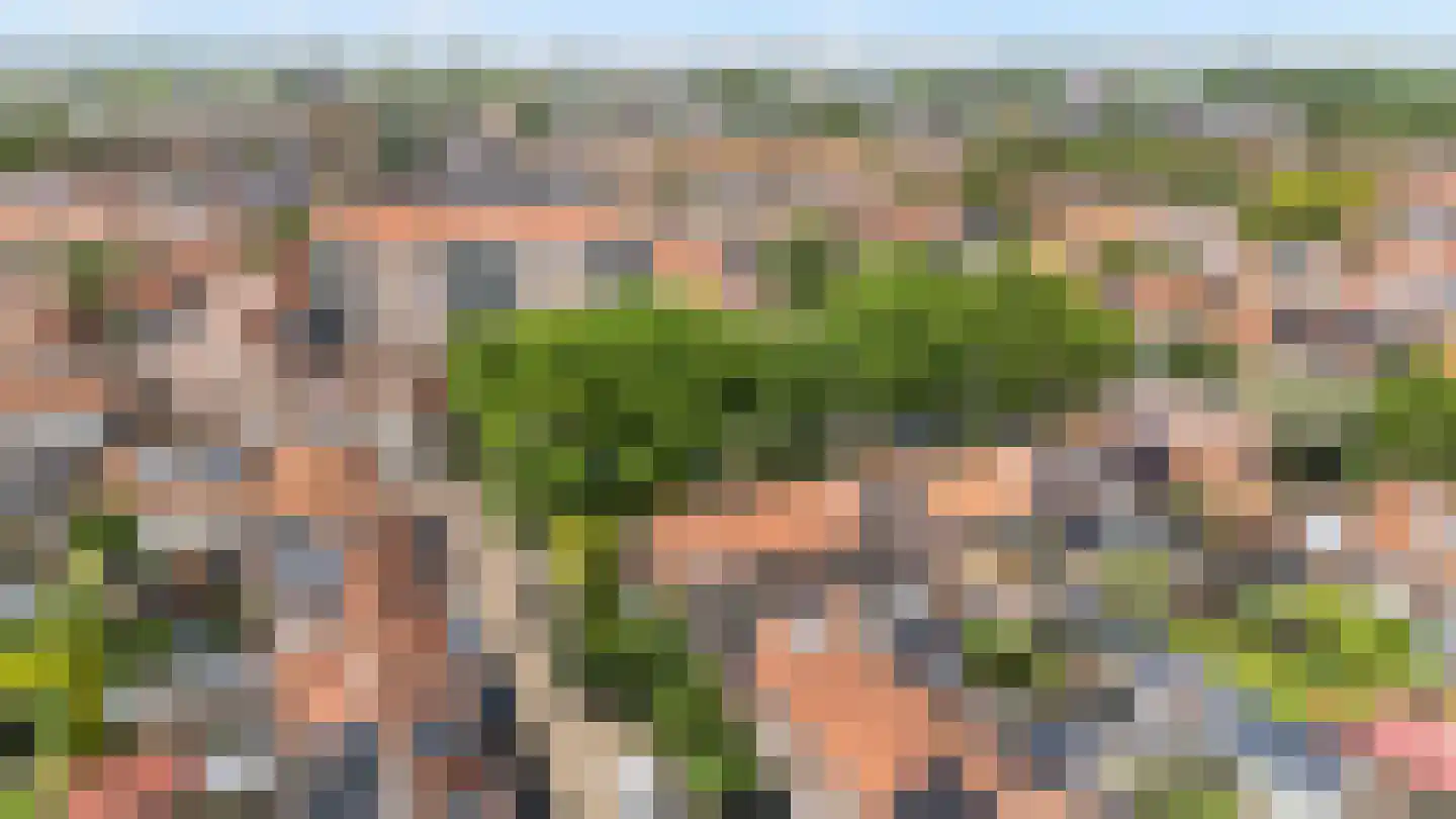 Begoniastraat 34 Zwolle thumbnail 32