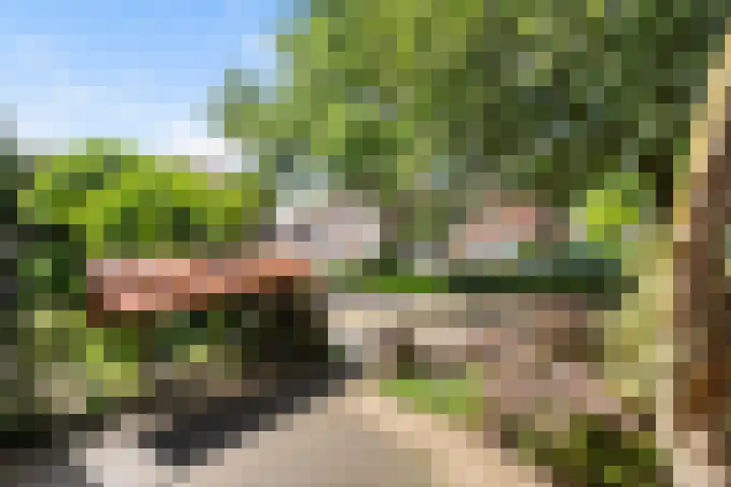 Begoniastraat 34 Zwolle thumbnail 5