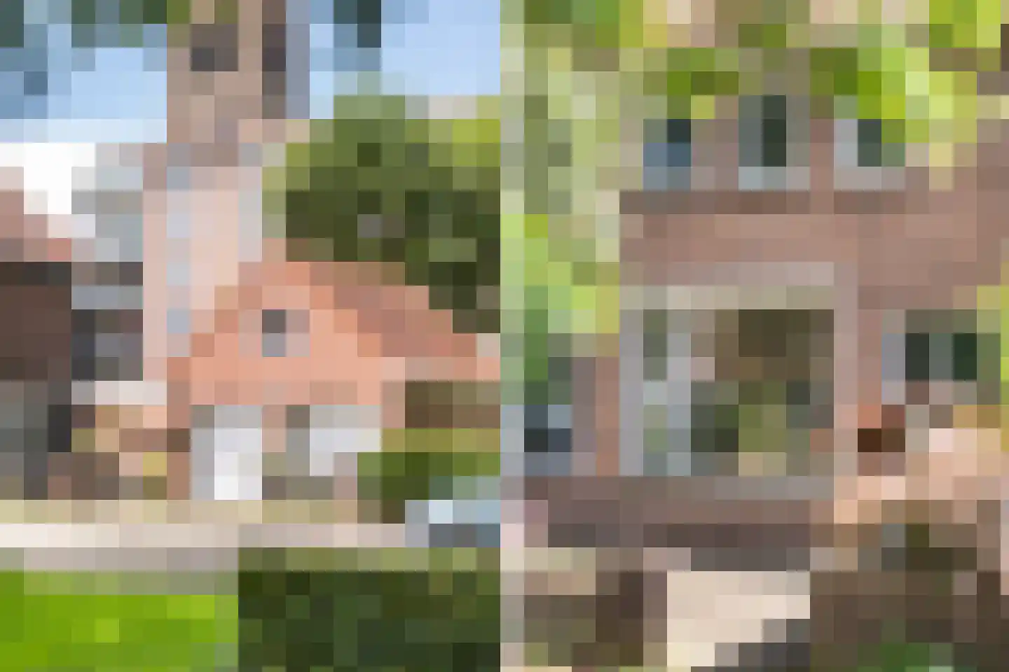 Begoniastraat 34 Zwolle thumbnail 6