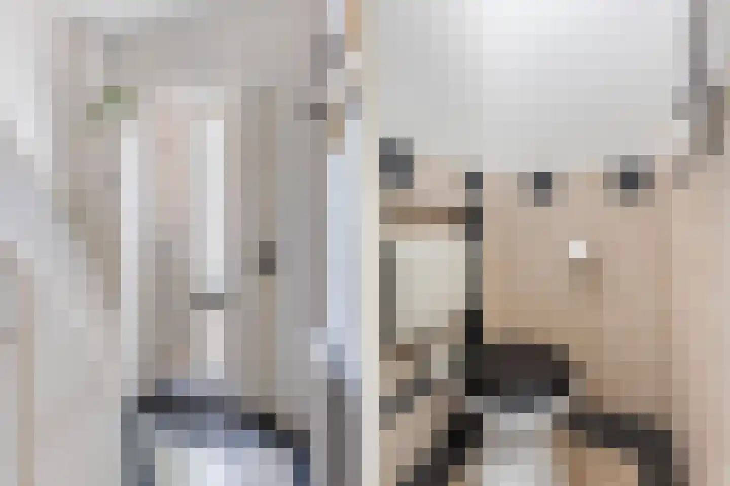 Begoniastraat 34 Zwolle thumbnail 8