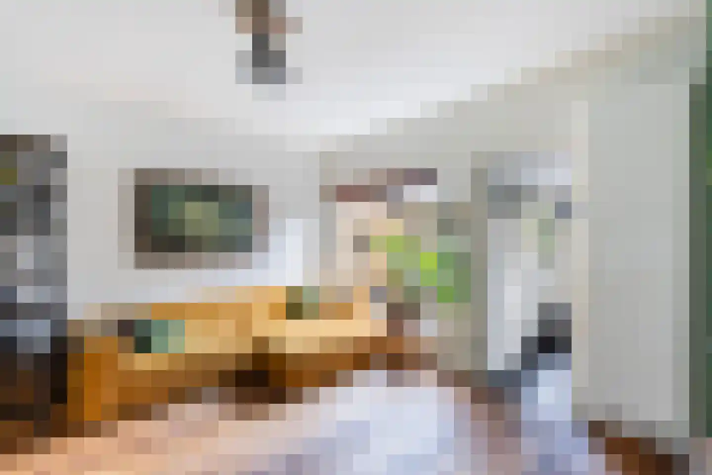 Begoniastraat 34 Zwolle thumbnail 9