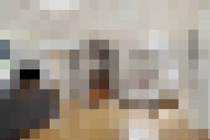 Begoniastraat 35 Doesburg thumbnail 13