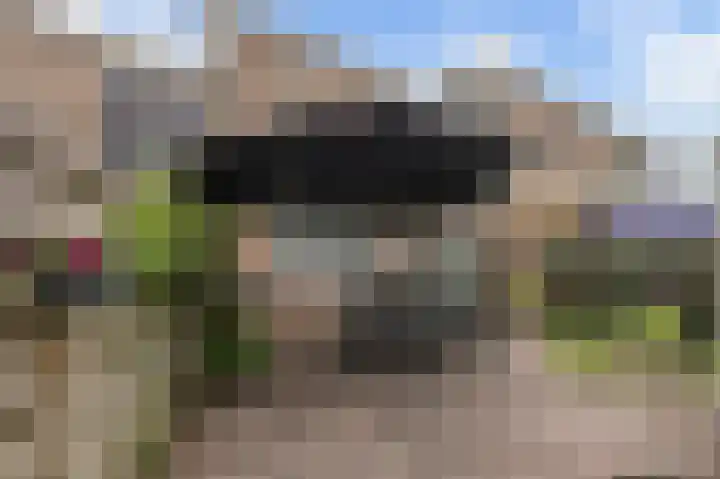 Begoniastraat 35 Doesburg thumbnail 23