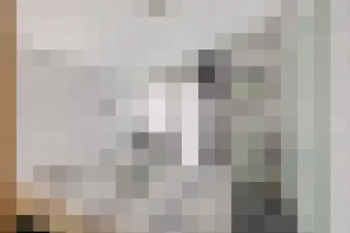 Begoniastraat 35 Doesburg thumbnail 27