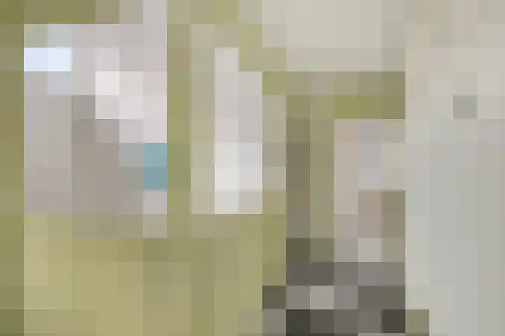 Begoniastraat 35 Doesburg thumbnail 29