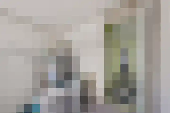 Begoniastraat 35 Doesburg thumbnail 33