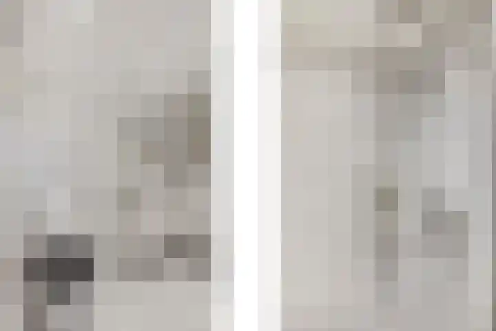Begoniastraat 35 Doesburg thumbnail 35