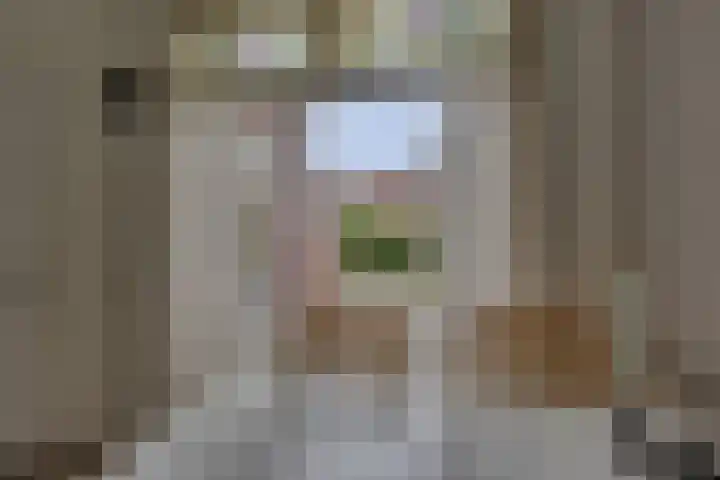 Begoniastraat 35 Zwolle thumbnail 12