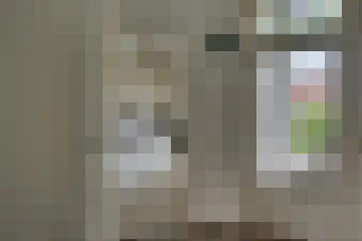 Begoniastraat 35 Zwolle thumbnail 13