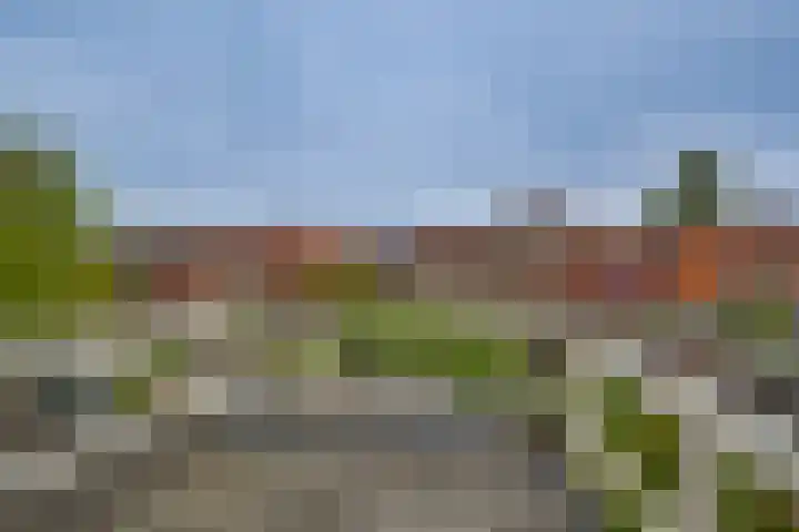 Begoniastraat 35 Zwolle thumbnail 19