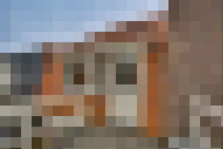 Begoniastraat 35 Zwolle thumbnail 20