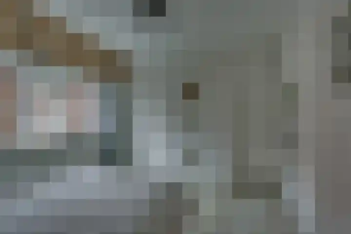 Begoniastraat 35 Zwolle thumbnail 24