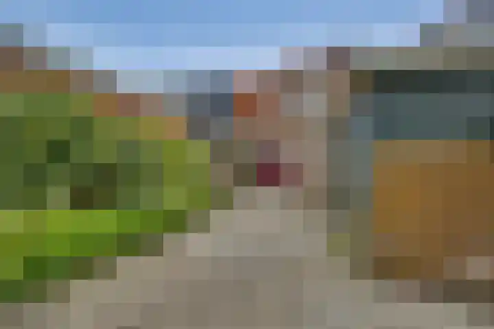 Begoniastraat 35 Zwolle thumbnail 29