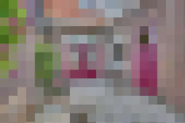 Begoniastraat 35 Zwolle thumbnail 32