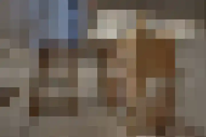 Begoniastraat 35 Zwolle thumbnail 34