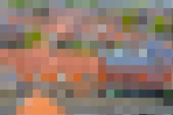 Begoniastraat 35 Zwolle thumbnail 38