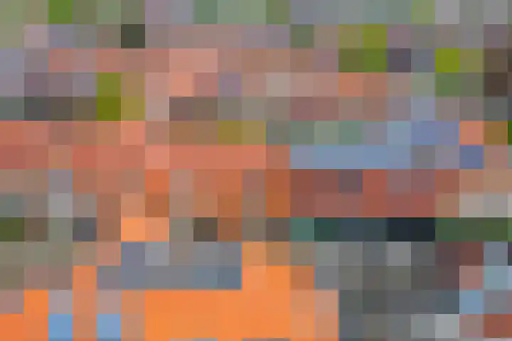 Begoniastraat 35 Zwolle thumbnail 39
