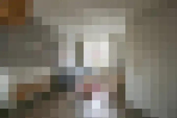 Begoniastraat 35 Zwolle thumbnail 7