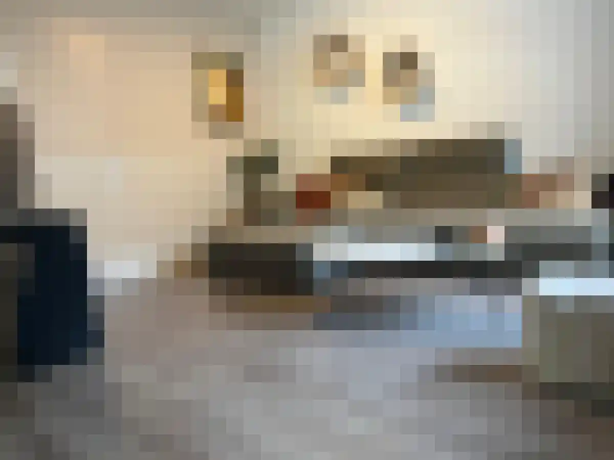 Begoniastraat 36 Eindhoven thumbnail 4