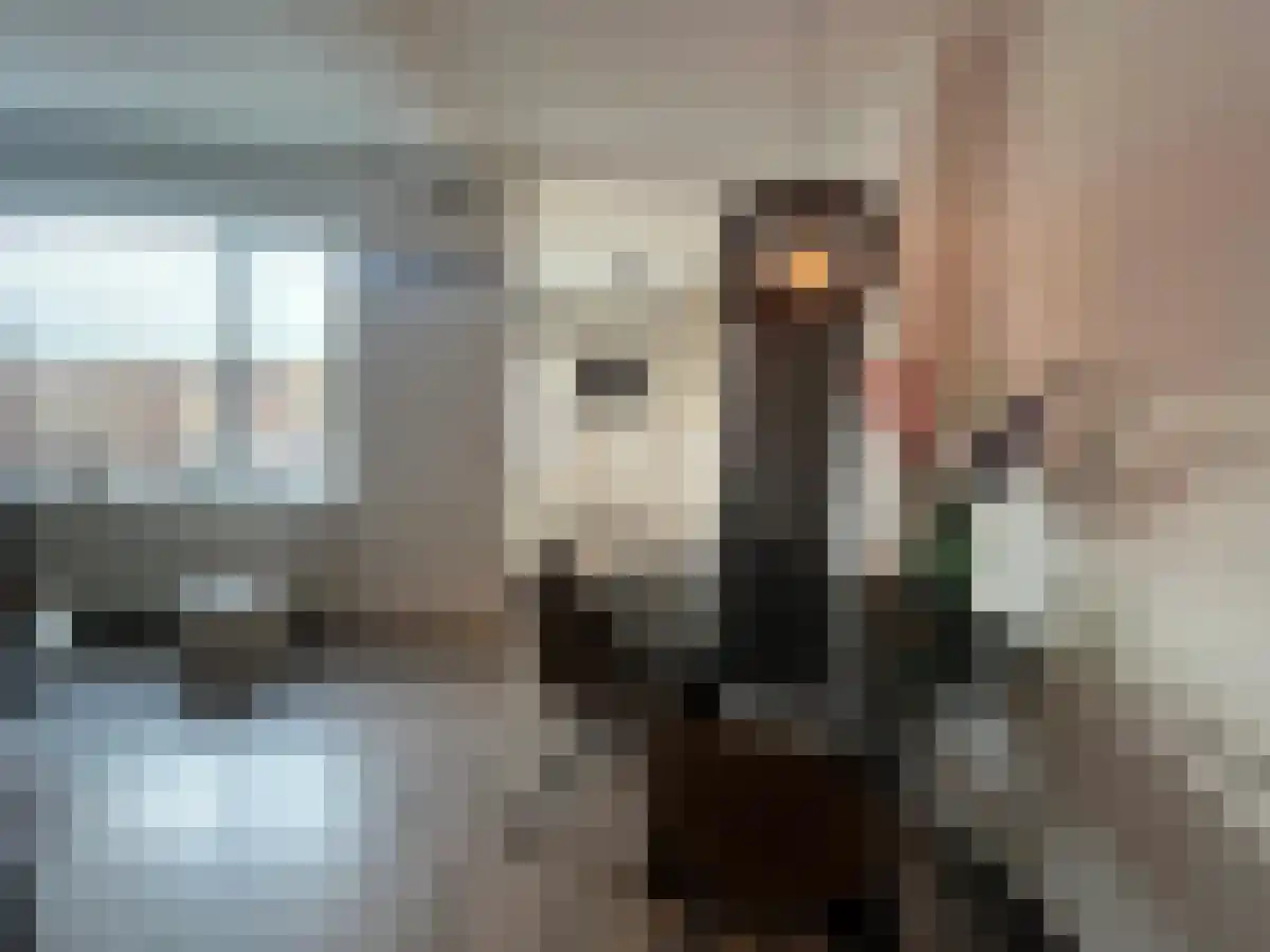 Begoniastraat 36 Eindhoven thumbnail 5