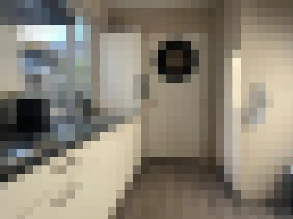 Begoniastraat 36 Eindhoven thumbnail 6
