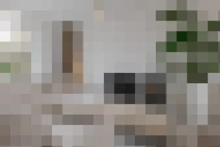 Begoniastraat 38 Hattem thumbnail 10