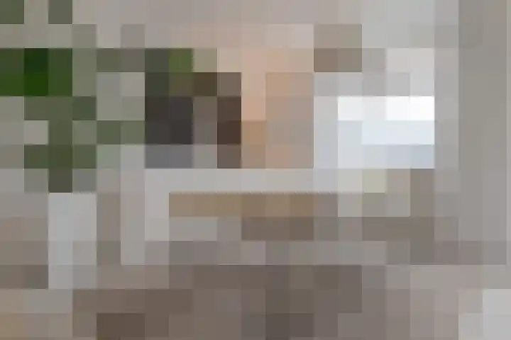 Begoniastraat 38 Hattem thumbnail 12