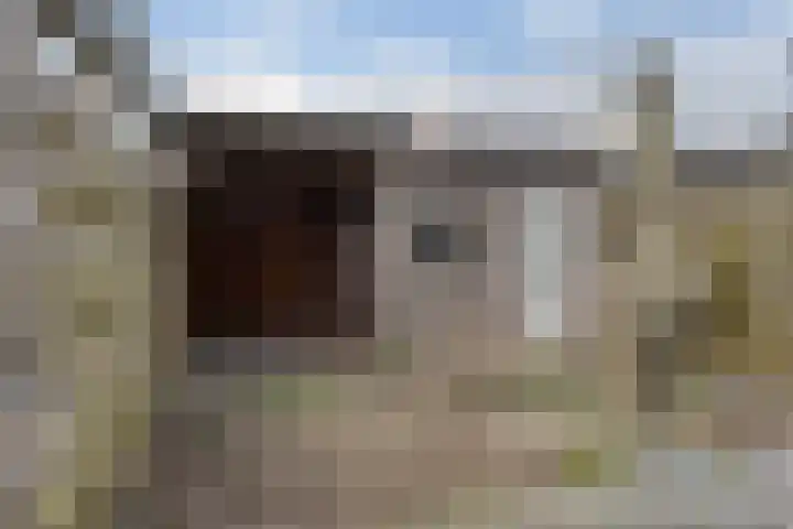 Begoniastraat 38 Hattem thumbnail 20