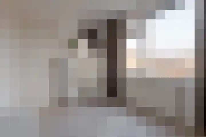 Begoniastraat 38 Hattem thumbnail 30