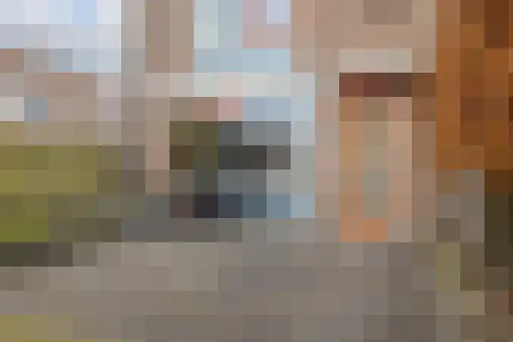 Begoniastraat 38 Hattem thumbnail 5