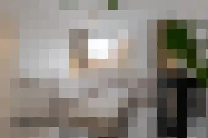 Begoniastraat 38 Hattem thumbnail 8