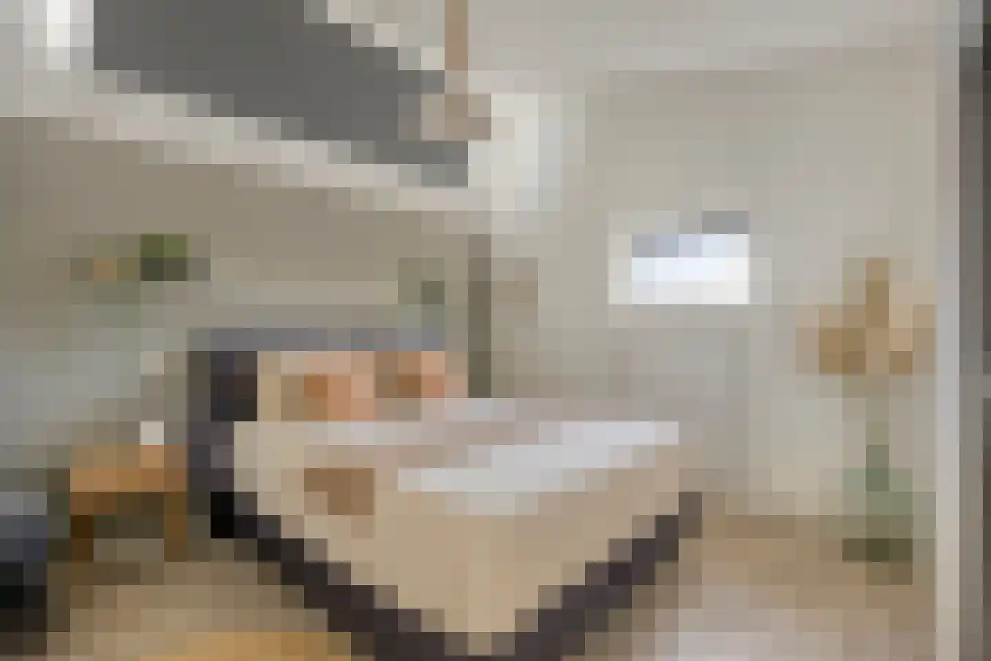 Begoniastraat 39 Doesburg thumbnail 24