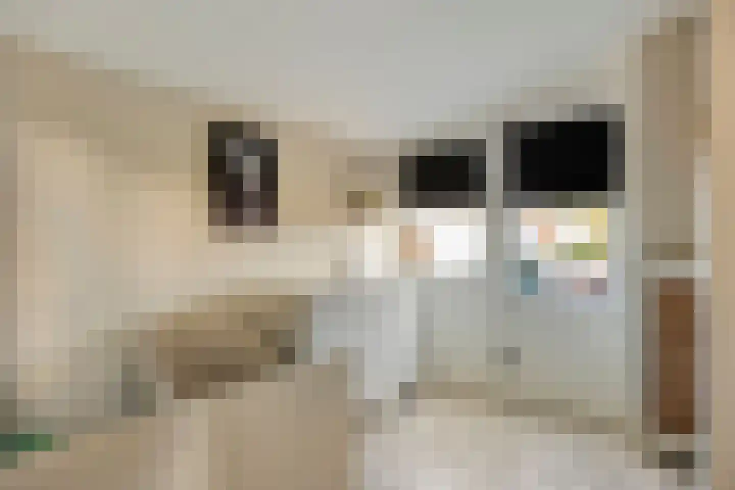 Begoniastraat 39 Doesburg thumbnail 28