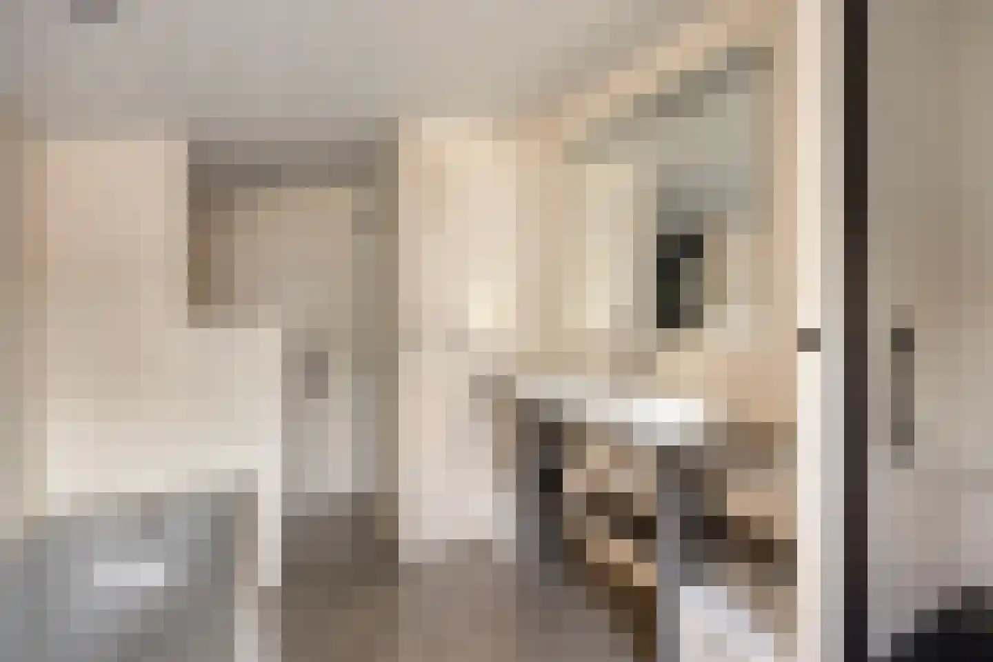 Begoniastraat 39 Doesburg thumbnail 32