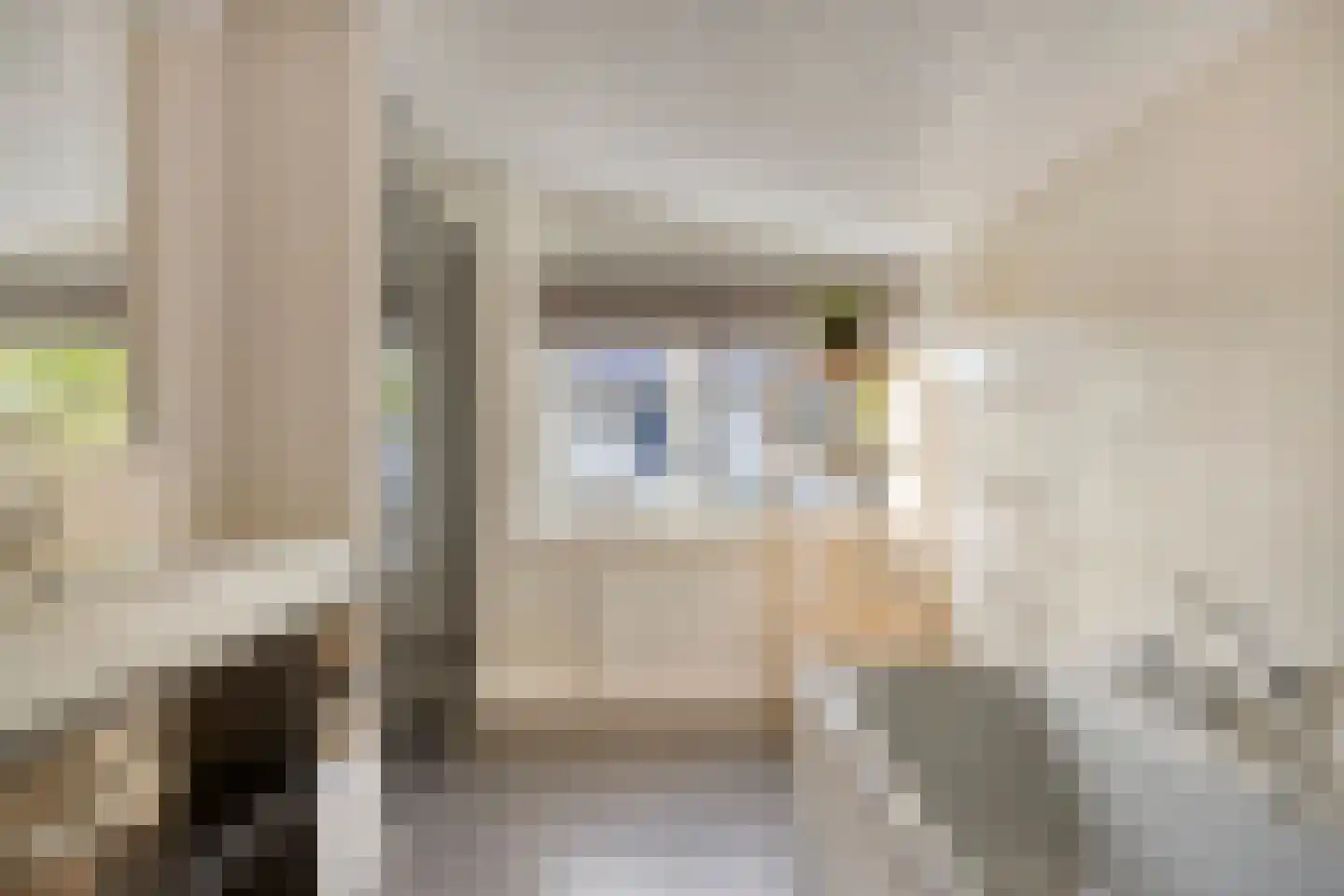 Begoniastraat 39 Doesburg thumbnail 33