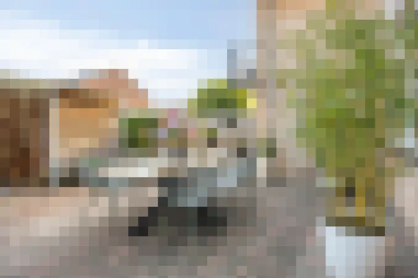 Begoniastraat 39 Doesburg thumbnail 38