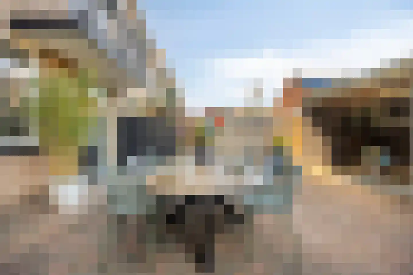 Begoniastraat 39 Doesburg thumbnail 40
