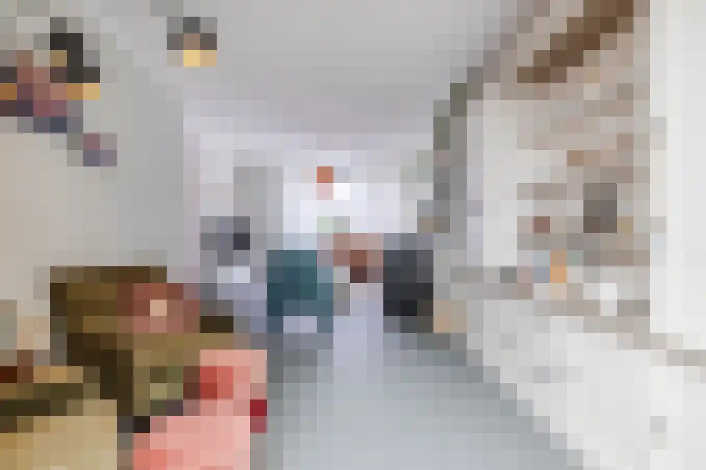 Begoniastraat 39 Echt thumbnail 16