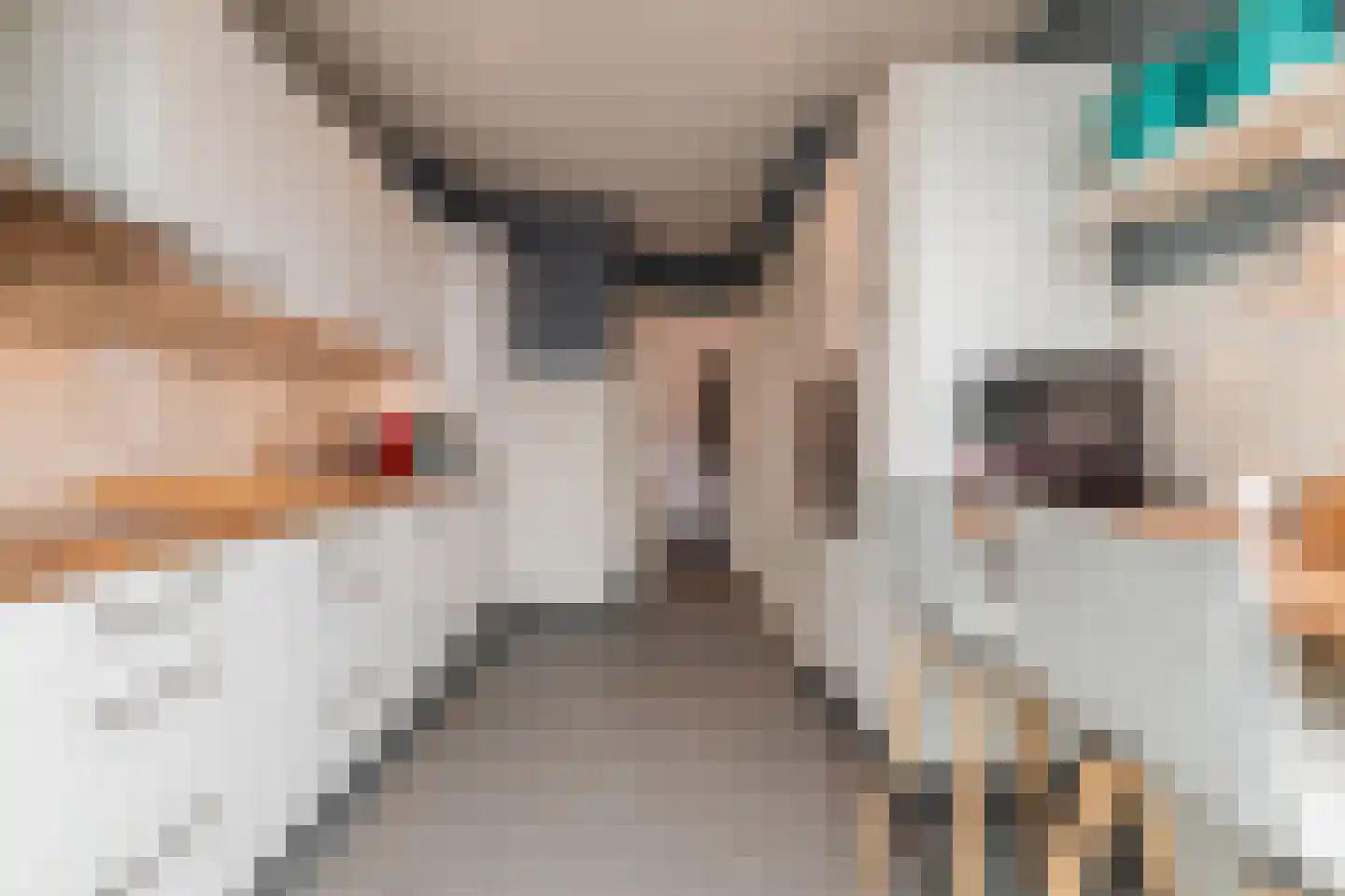 Begoniastraat 39 Echt thumbnail 21