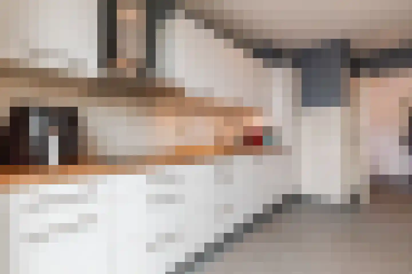 Begoniastraat 39 Echt thumbnail 24