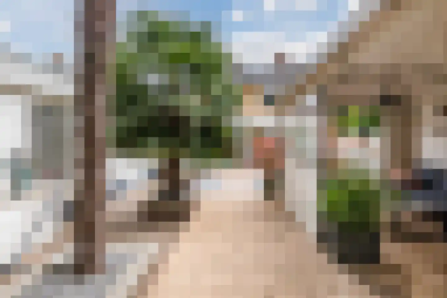 Begoniastraat 39 Echt thumbnail 32
