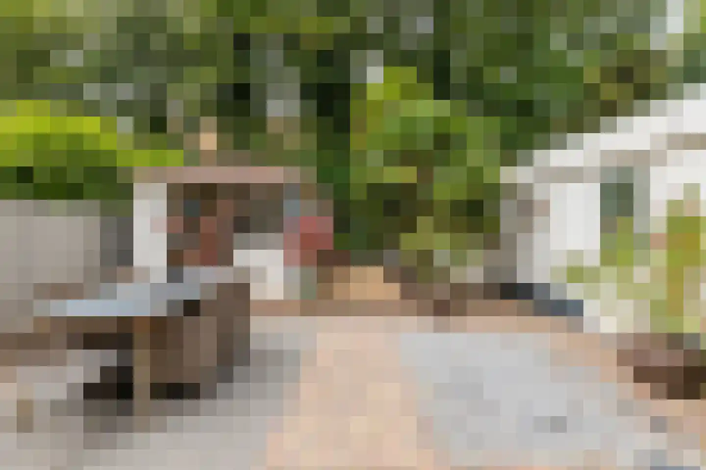 Begoniastraat 39 Echt thumbnail 34