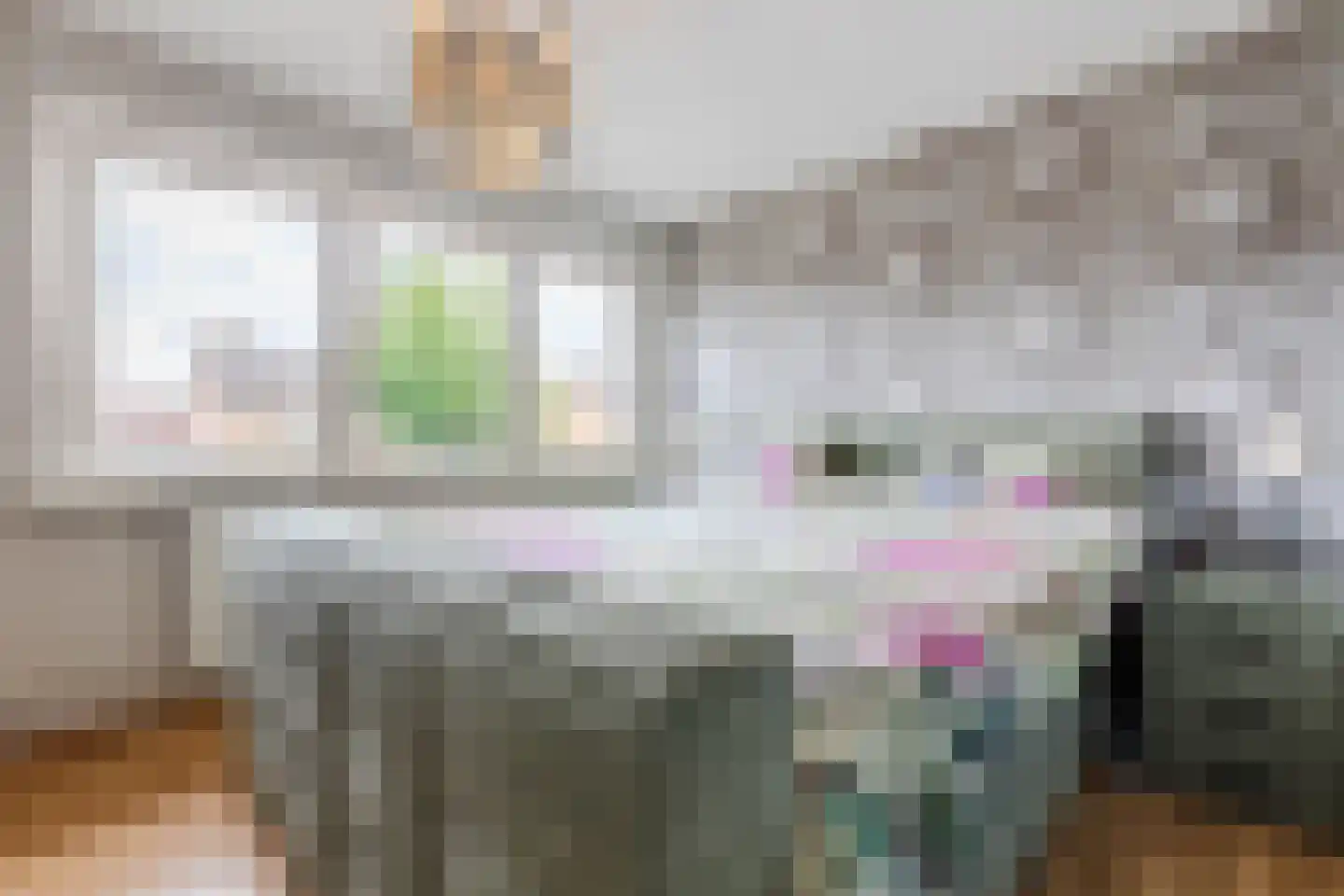 Begoniastraat 39 Echt thumbnail 36