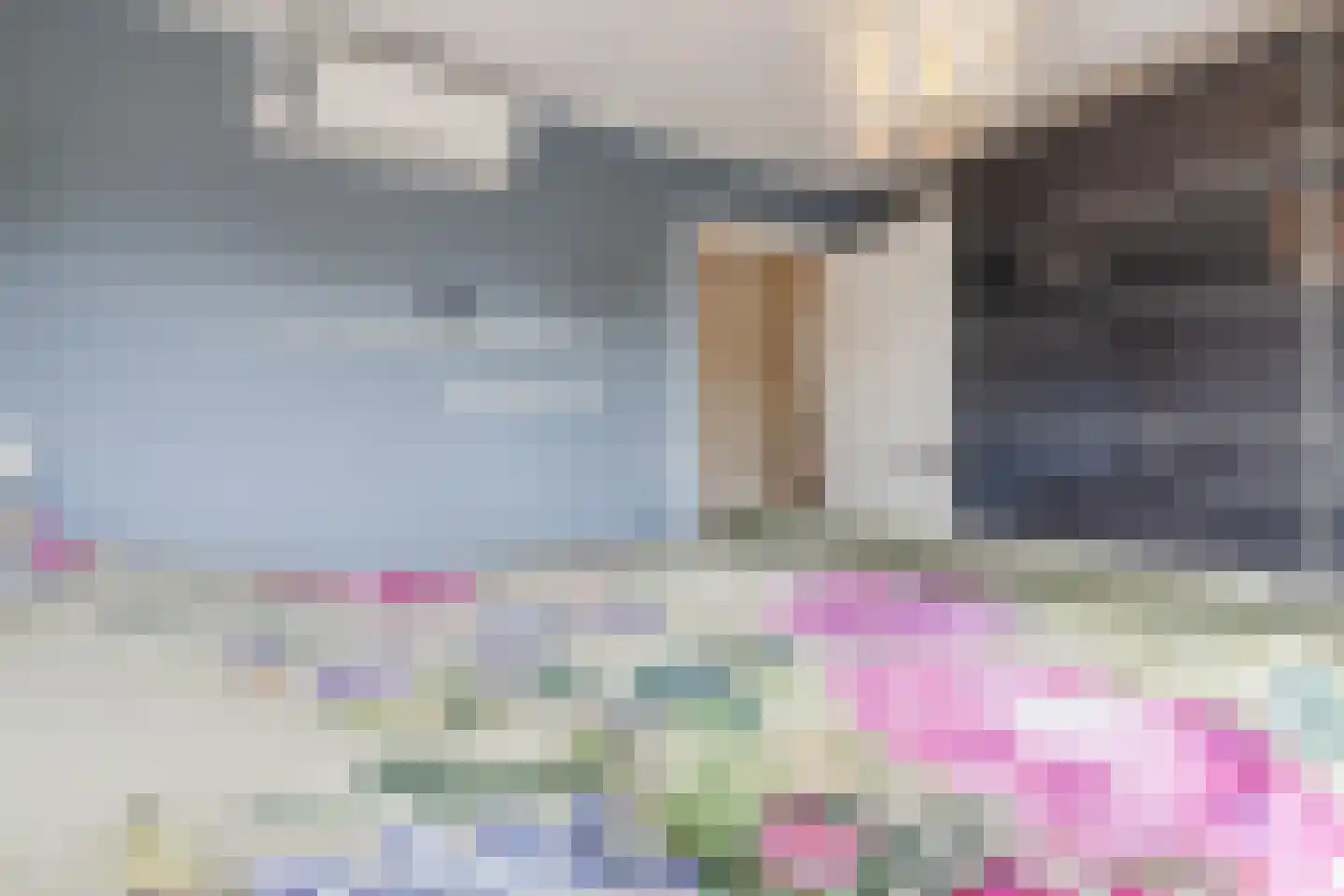Begoniastraat 39 Echt thumbnail 38