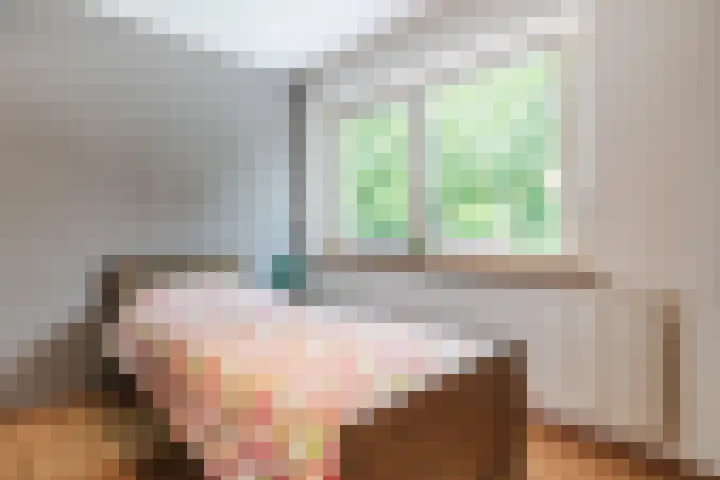 Begoniastraat 39 Echt thumbnail 39