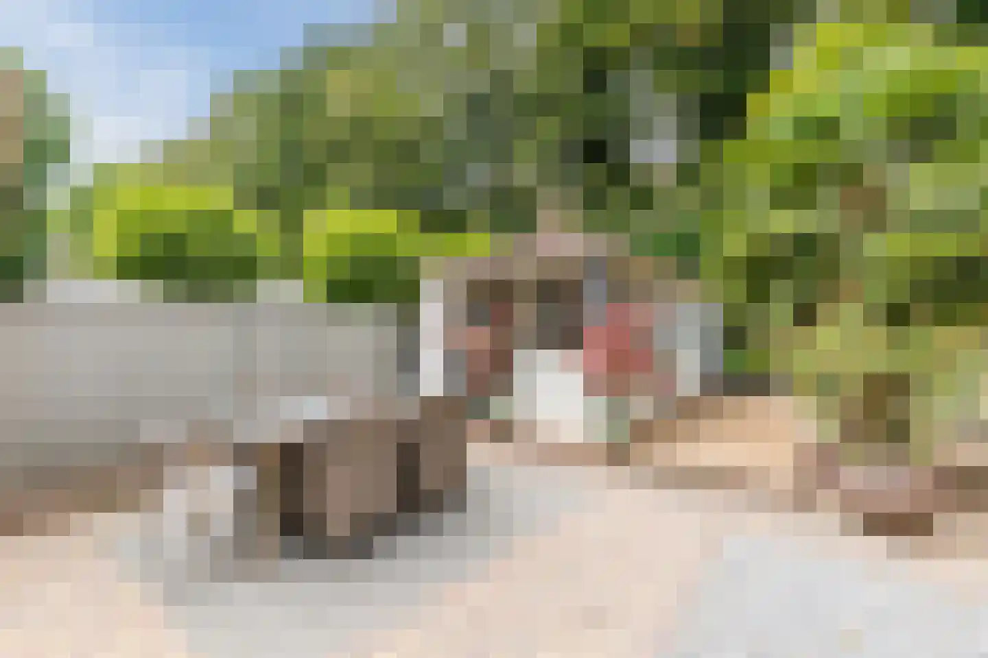 Begoniastraat 39 Echt thumbnail 4